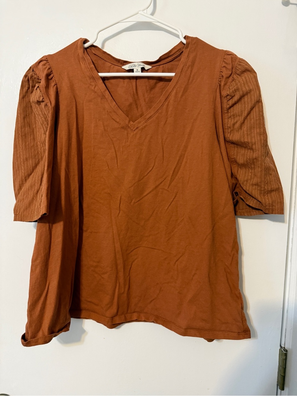 The Pioneer Woman V-Neck Puff Sleeve Top - Rust